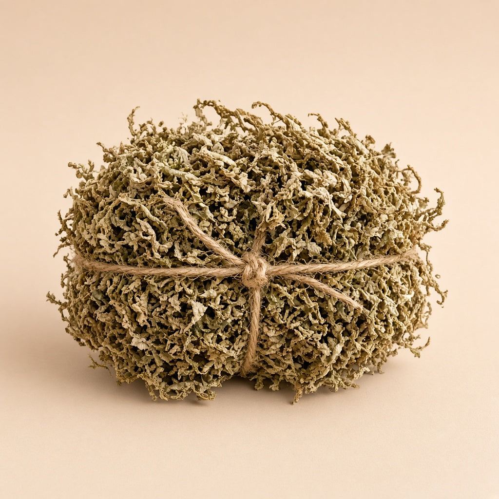 Sphagnum moss