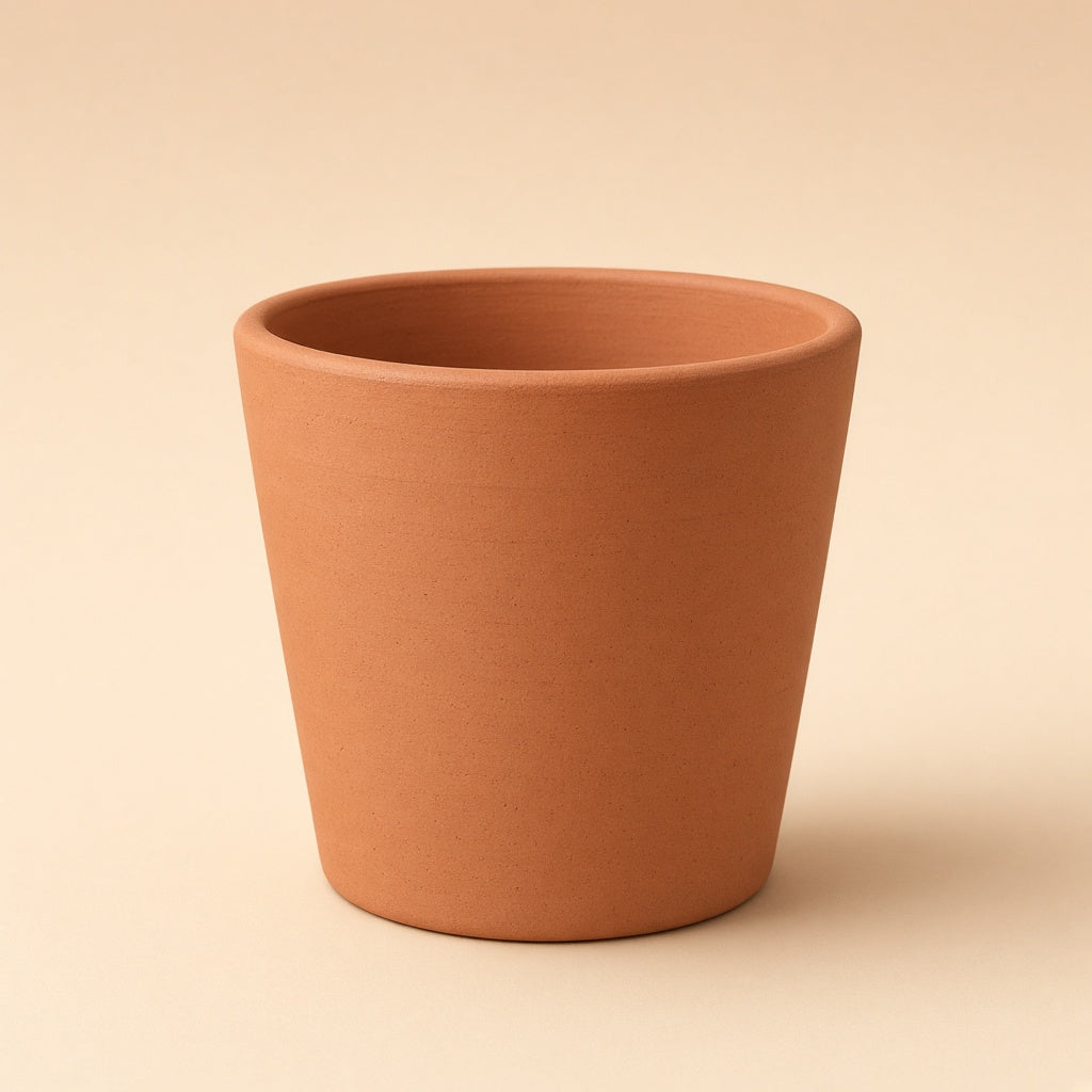 Terracotta pot